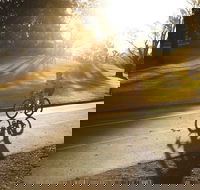 Parramatta River Cycleway - New South Wales Tourism 