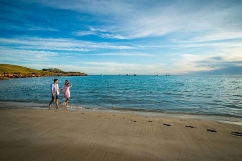 Paradise Beach - New South Wales Tourism  0