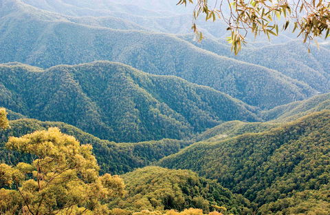Point Lookout Walking Track - New South Wales Tourism  0