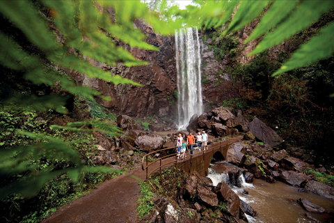 Queen Mary Falls Circuit, Main Range National Park - New South Wales Tourism  0