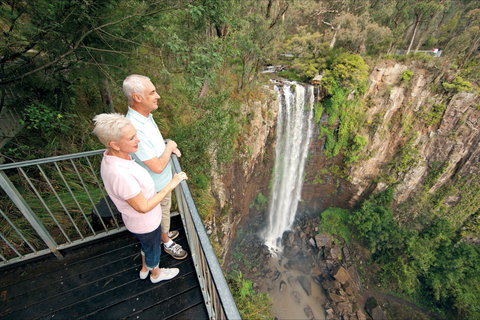 Queen Mary Falls Circuit, Main Range National Park - New South Wales Tourism  1