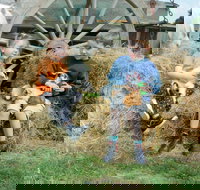 Rain Hayne and Shine Farmyard - New South Wales Tourism 