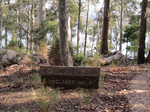 Ringlands Rotary Walk Narooma - New South Wales Tourism  0