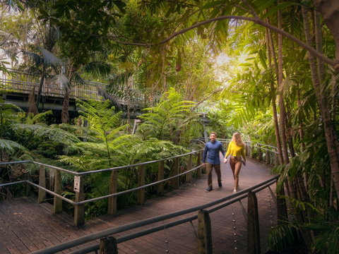 Roma Street Parkland - New South Wales Tourism  2