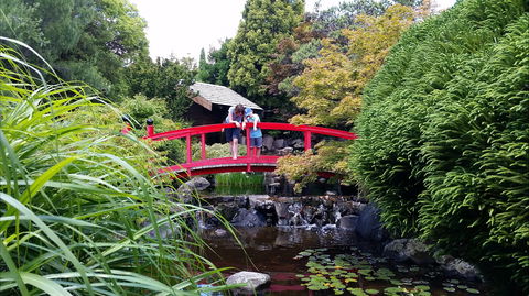 Royal Tasmanian Botanical Gardens - New South Wales Tourism  1