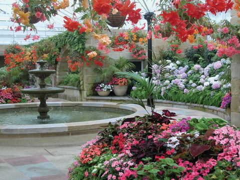Royal Tasmanian Botanical Gardens - New South Wales Tourism  2