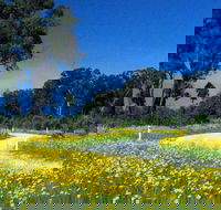 Shearer's Way - New South Wales Tourism 
