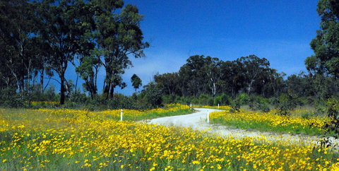 Shearer's Way - New South Wales Tourism  0