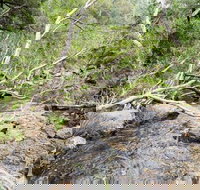 The Gap - New South Wales Tourism 