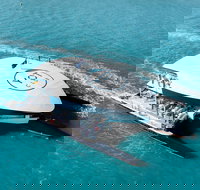 The YOT Club - New South Wales Tourism 