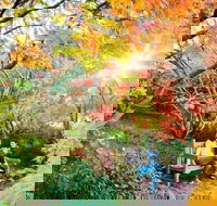 The Blue Mountains Botanic Garden Mount Tomah - New South Wales Tourism 