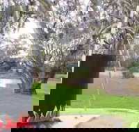 Trangie Big Billy - New South Wales Tourism 