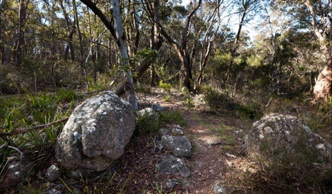 Tuross Falls Walking Track - New South Wales Tourism  0