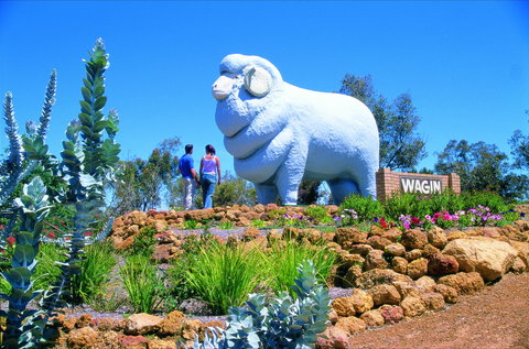Wagin - New South Wales Tourism  0