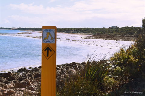 Walk The Yorke Trail - New South Wales Tourism  2