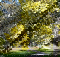 Wattle Park - New South Wales Tourism 