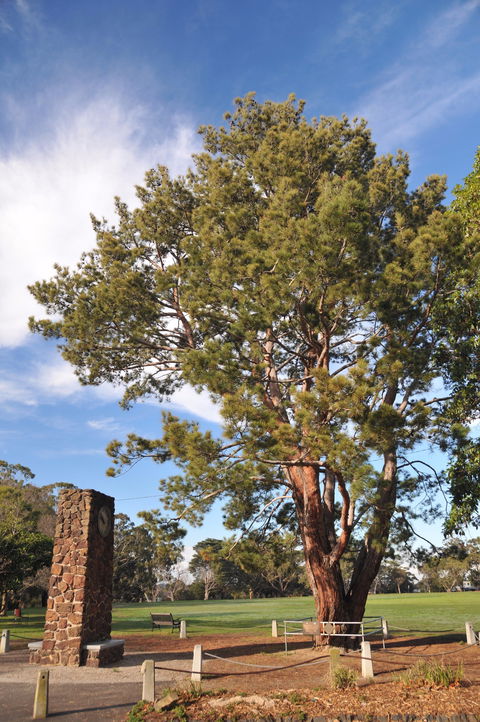 Wattle Park - New South Wales Tourism  2