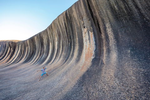 Wave Rock Wildflower Trail - New South Wales Tourism  2