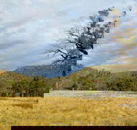 Weddin Mountains National Park - New South Wales Tourism 