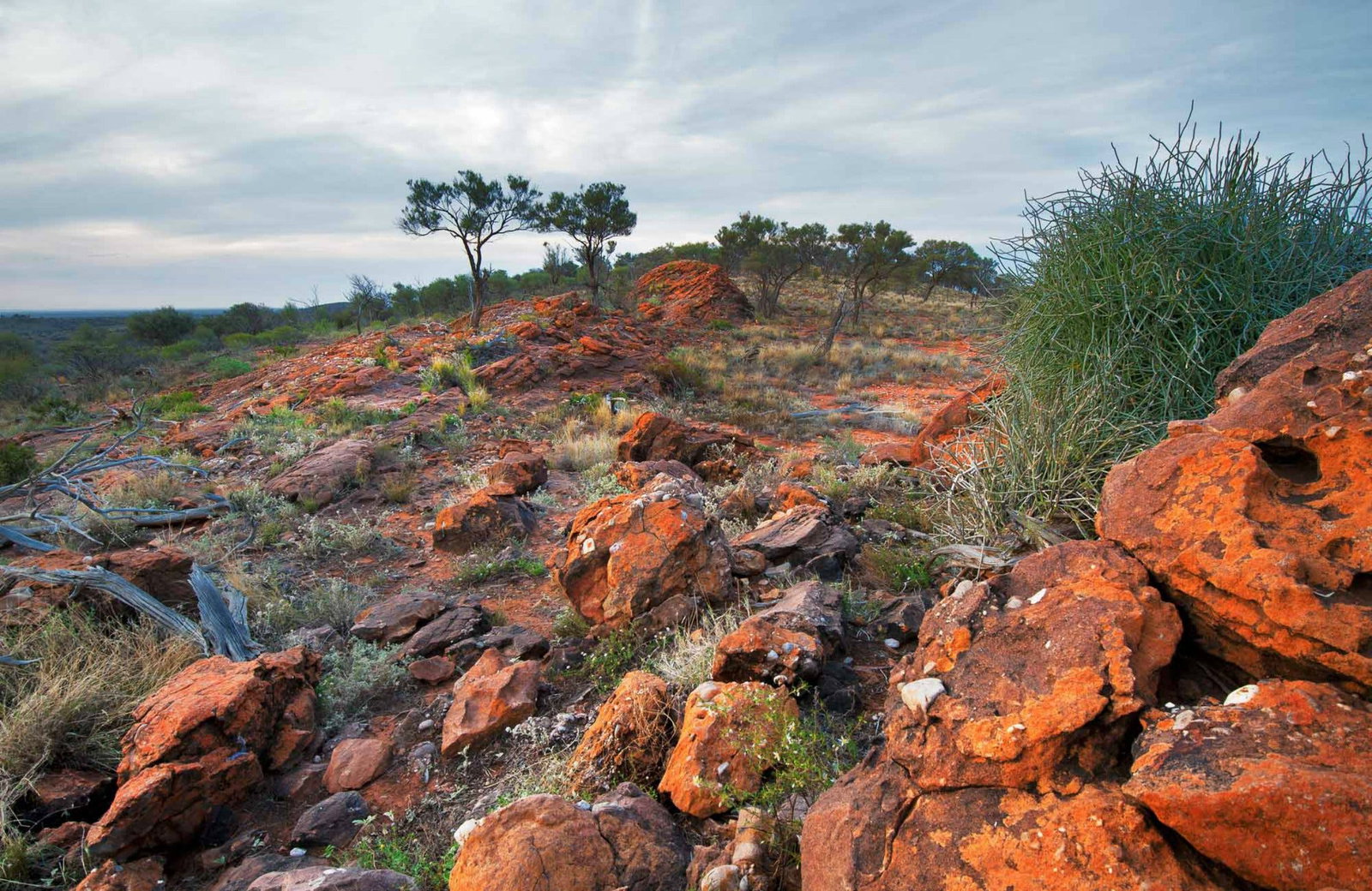 Mutawintji NSW New South Wales Tourism 