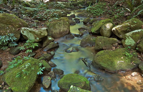 Whian Whian State Conservation Area - New South Wales Tourism  0