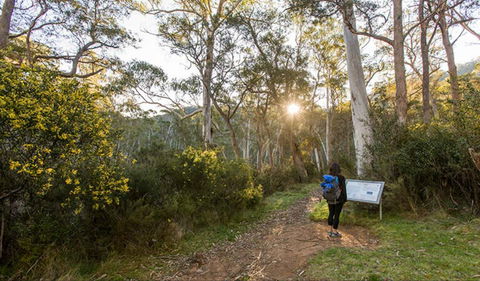 Yarrangobilly Caves – River Walk - New South Wales Tourism  0