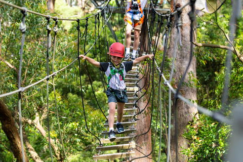 Zipline At Illawarra Fly - New South Wales Tourism  1