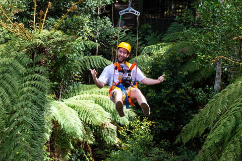 Zipline At Illawarra Fly - New South Wales Tourism  2
