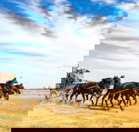 7 Day Outback Giants - New South Wales Tourism 