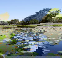 Anderson Park Botanic Gardens - New South Wales Tourism 