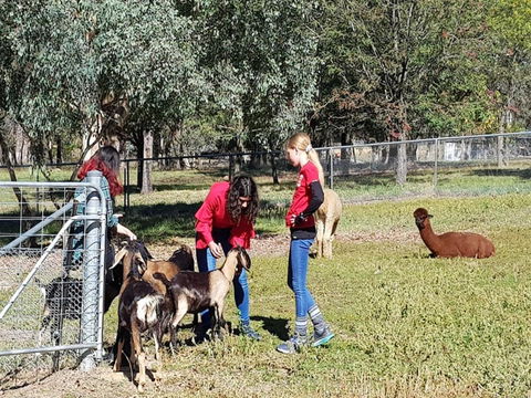 Animal Farm Visit - New South Wales Tourism  1