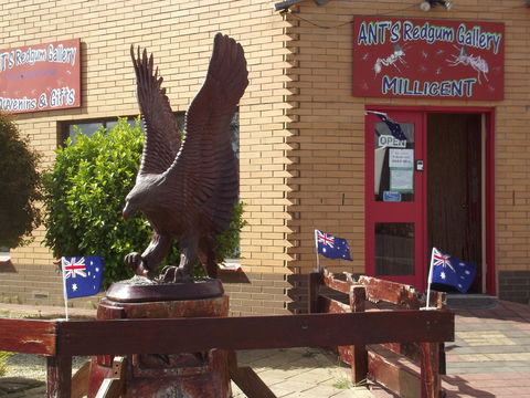 Ant's Redgum Gallery - New South Wales Tourism  0