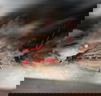 Australian Fly Fishing Museum - New South Wales Tourism 