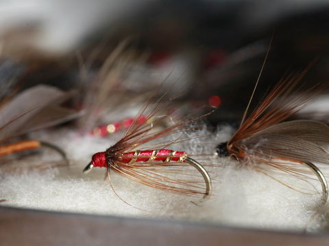 Australian Fly Fishing Museum - New South Wales Tourism  0
