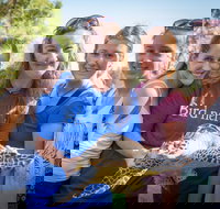 Australian Seabird Rescue - New South Wales Tourism 