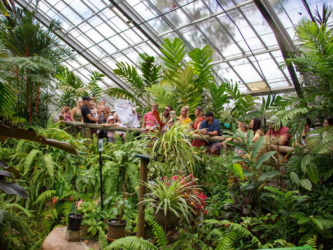 Australian Butterfly Sanctuary - New South Wales Tourism  2