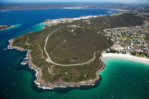 Avenue Of Honour - New South Wales Tourism  0