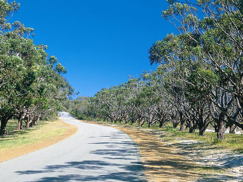 Avenue Of Honour - New South Wales Tourism  1