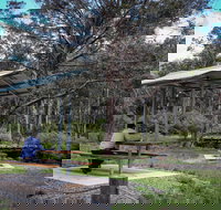 Barrington Tops State Forest - New South Wales Tourism 