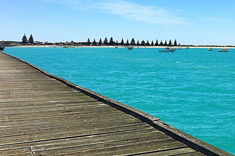 Beachport Jetty - New South Wales Tourism  1