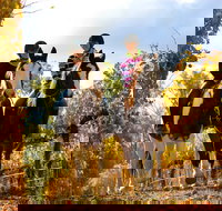 Billabong Ranch Adventure Park - New South Wales Tourism 