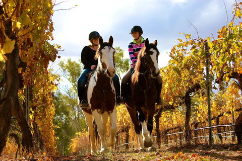 Billabong Ranch Adventure Park - New South Wales Tourism  0