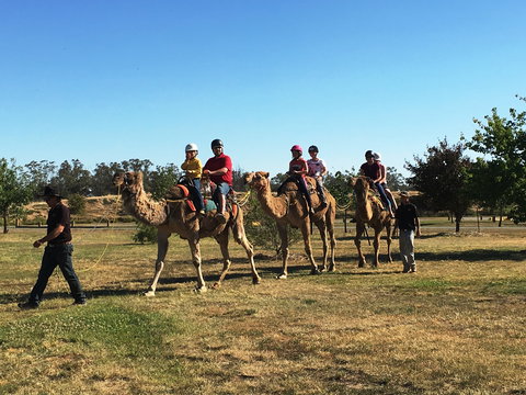 Billabong Ranch Adventure Park - New South Wales Tourism  1