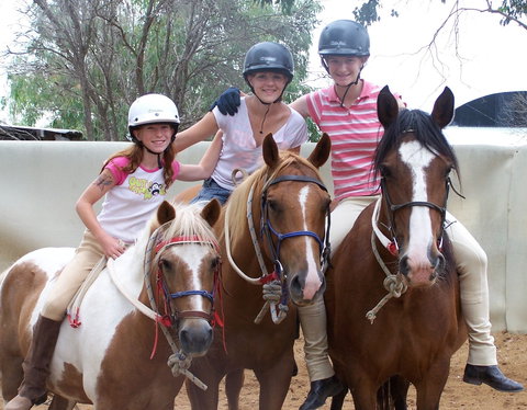 Billabong Ranch Adventure Park - New South Wales Tourism  2