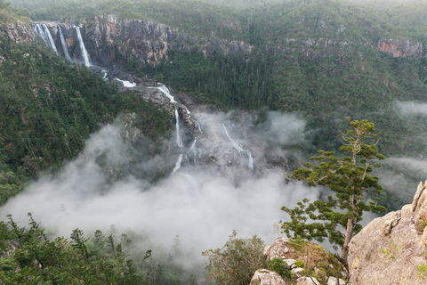 Blencoe Falls, Girringun National Park - New South Wales Tourism  0
