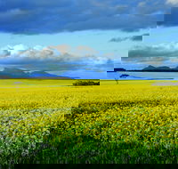 Borden - New South Wales Tourism 