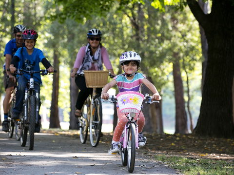 Bright To Wandiligong 5.5km - New South Wales Tourism  0