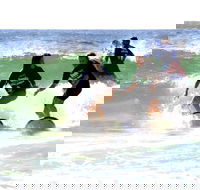 Broadbeach Surf School - New South Wales Tourism 