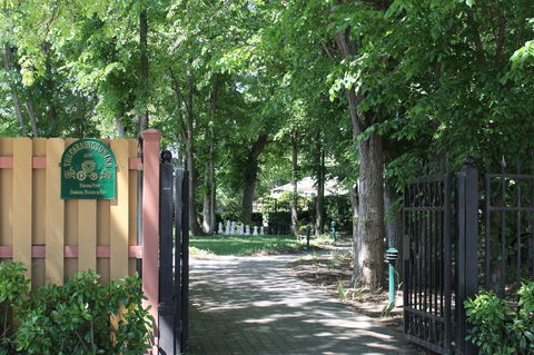 Bungendore Heritage Walk - New South Wales Tourism  0