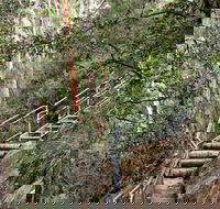 Caleys Lookout Track - New South Wales Tourism 